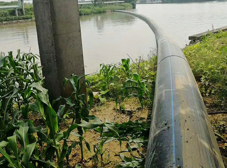 2022 Proiect de irigare agricolă în Shanghai